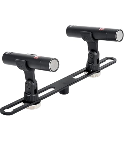 Amazon.com: Rode NT55 Multi-Pattern Instrument Condenser